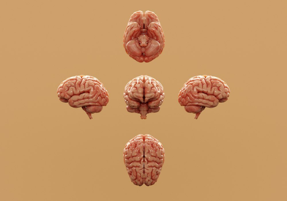 Memory and Neuro Health